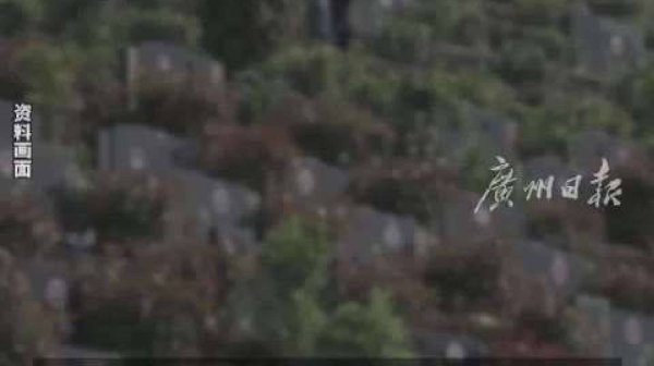 清明上山扫墓却发现母亲的墓不见了