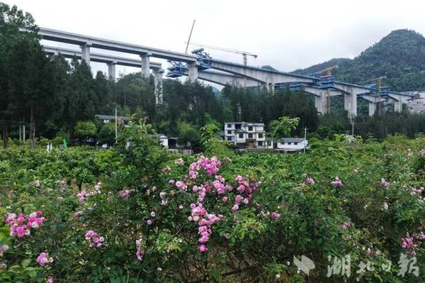 咸丰：山花掩映特大桥
