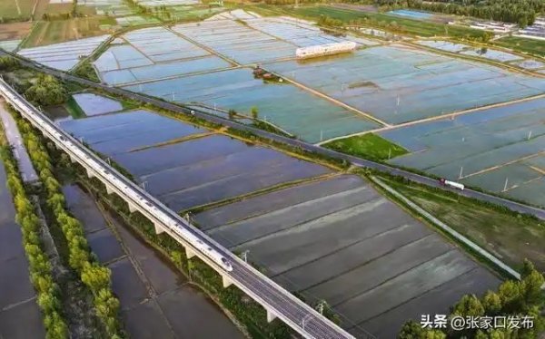 洋河水润稻田新景