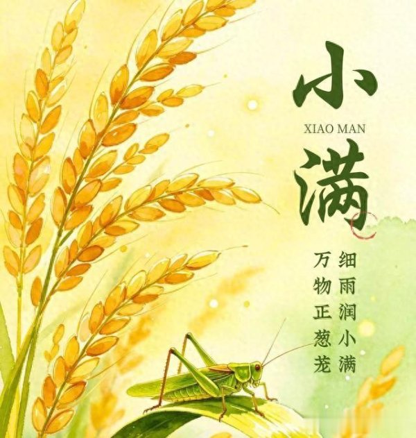 “男怕小满, 女怕小雪”, 5月21月小满提醒男人: 3事不做3样多吃