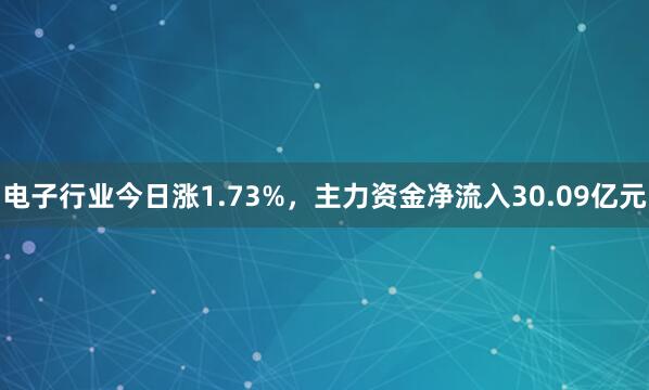 电子行业今日涨1.73%，主力资金净流入30.09亿元
