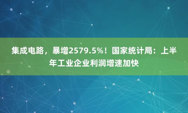 集成电路，暴增2579.5%！国家统计局：上半年工业企业利润增速加快