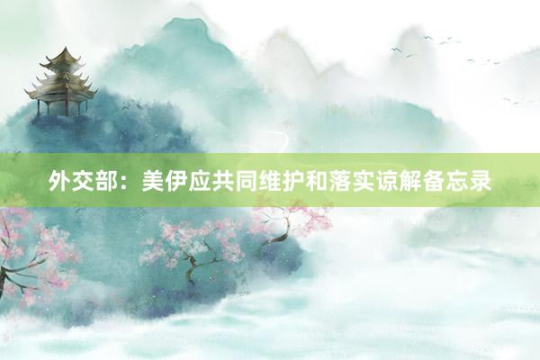 外交部：美伊应共同维护和落实谅解备忘录