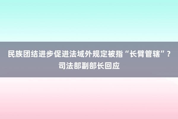 民族团结进步促进法域外规定被指“长臂管辖”？司法部副部长回应