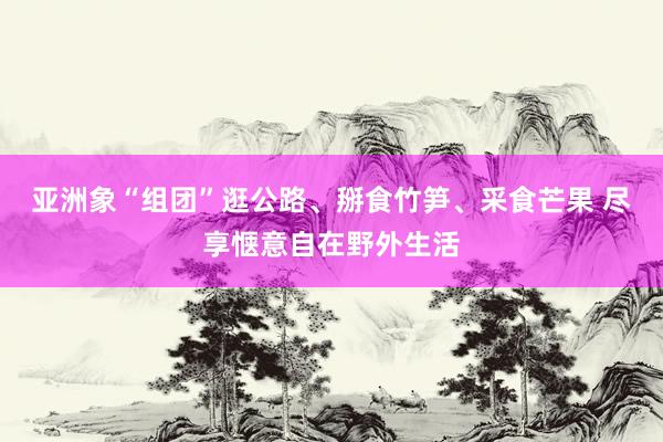 亚洲象“组团”逛公路、掰食竹笋、采食芒果 尽享惬意自在野外生活