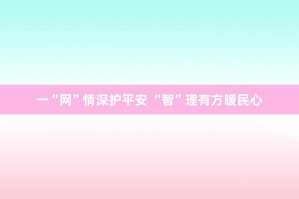 一“网”情深护平安 “智”理有方暖民心