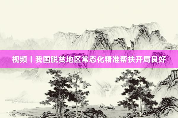 视频丨我国脱贫地区常态化精准帮扶开局良好