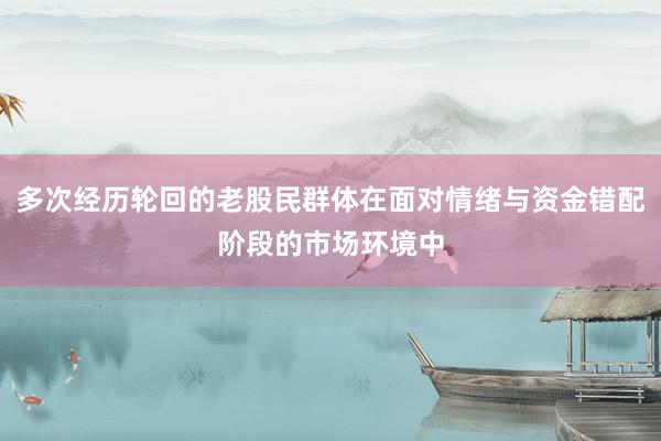 多次经历轮回的老股民群体在面对情绪与资金错配阶段的市场环境中