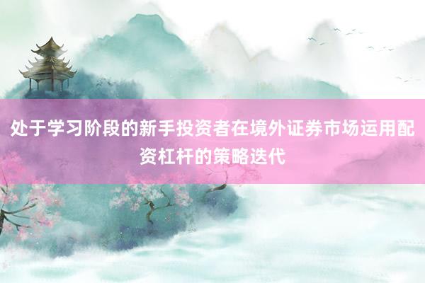 处于学习阶段的新手投资者在境外证券市场运用配资杠杆的策略迭代