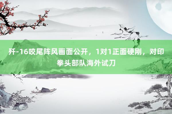 歼-16咬尾阵风画面公开，1对1正面硬刚，对印拳头部队海外试刀