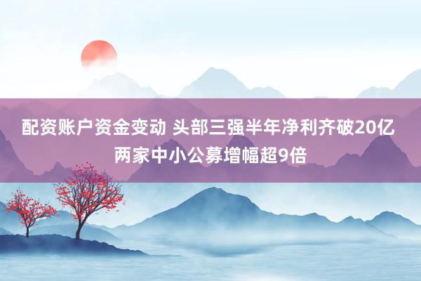 配资账户资金变动 头部三强半年净利齐破20亿 两家中小公募增幅超9倍