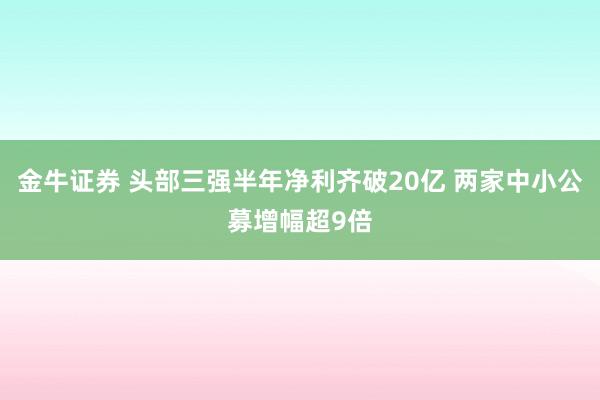 金牛证券 头部三强半年净利齐破20亿 两家中小公募增幅超9倍
