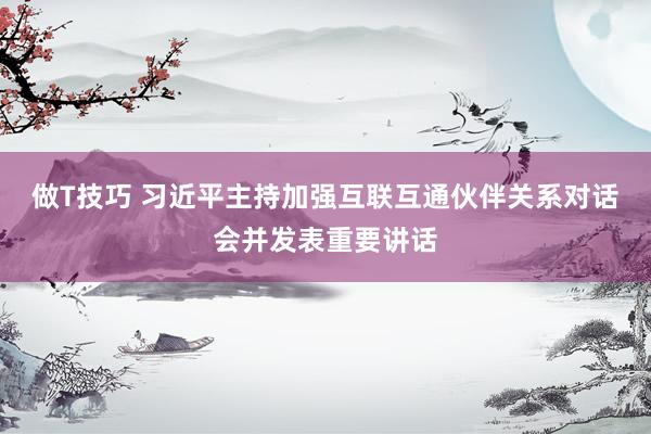 做T技巧 习近平主持加强互联互通伙伴关系对话会并发表重要讲话