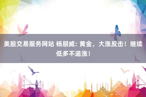 美股交易服务网站 杨朋威: 黄金,大涨反击!继续低多不追涨!