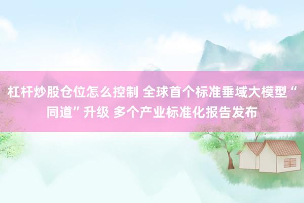 杠杆炒股仓位怎么控制 全球首个标准垂域大模型“同道”升级 多个产业标准化报告发布